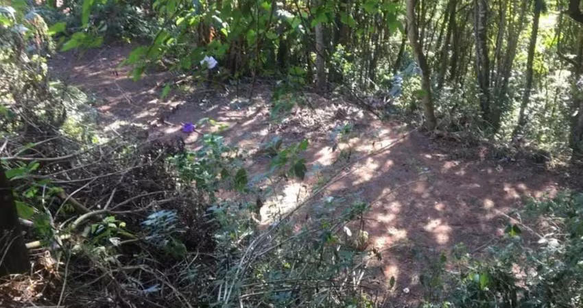 Terreno à venda, 804 m² por r$ 120.000,00 - parque petrópolis - mairiporã/sp
