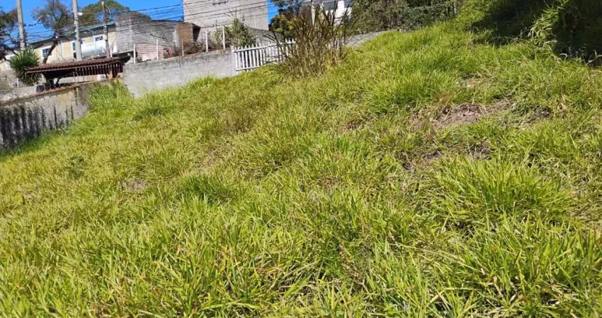 Terreno à venda, 606 m² por r$ 250.000,00 - terra preta - mairiporã/sp