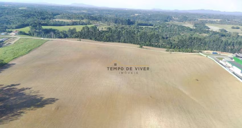 Terreno à venda, 174000 m² por R$ 28.000.000 - Zona Rural - Fazenda Rio Grande/PR