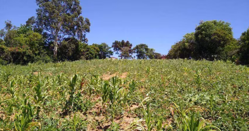 Terreno à venda, 9251 m² por r$ 650.000,00 - jundiaquara - araçoiaba da serra/sp