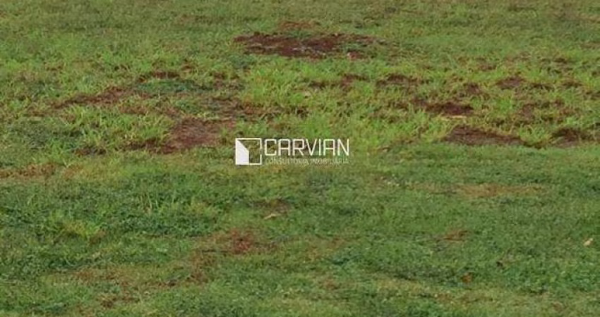 Terreno à venda, 427 m² por R$ 290.000,00 - Bonfim Paulista - Ribeirão Preto/SP