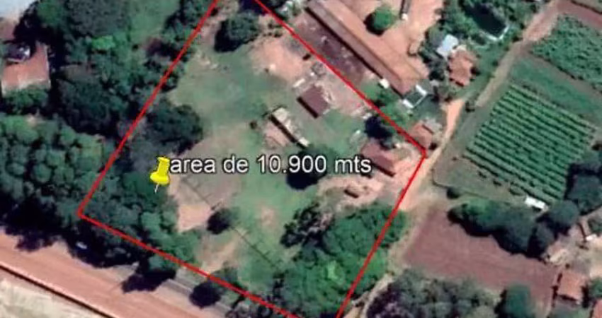Chácara com 3 dormitórios à venda, 10900 m² por R$ 1.499.989,00 - Conjunto Habitacional Doutor Adail Nunes da Silva - Taquaritinga/SP