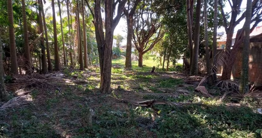 Terreno à venda na Rodovia Baldicero Filomeno, 2379, Ribeirão da Ilha, Florianópolis