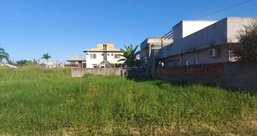 Terreno comercial à venda na Rua Saul Silveira Penha, 688, Carianos, Florianópolis