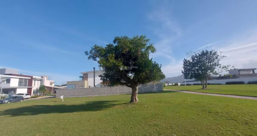 Terreno à venda na Rodovia Aparício Ramos Cordeiro, 180, Campeche, Florianópolis