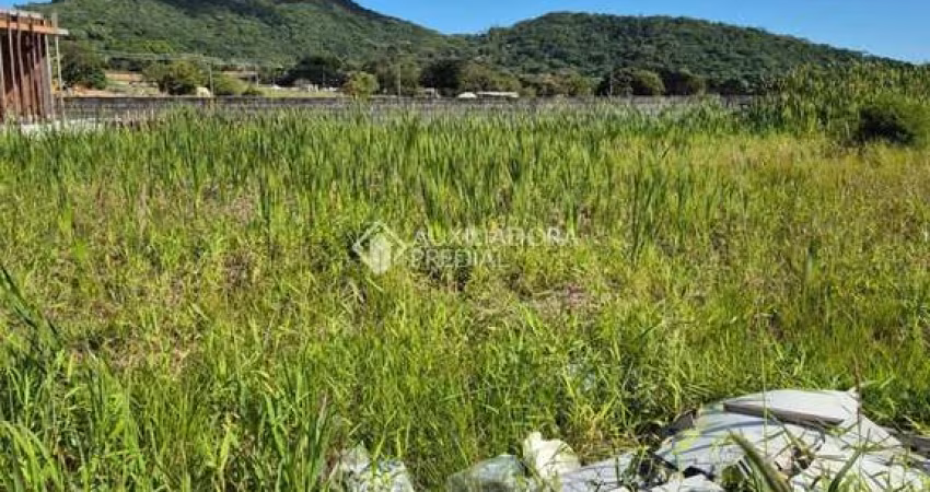 Terreno à venda na Rodovia Doutor Antônio Luiz Moura Gonzaga, 3312, Rio Tavares, Florianópolis