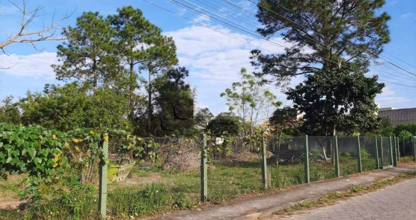 Terreno à venda na Servidão Jaborandi, 900, Campeche, Florianópolis
