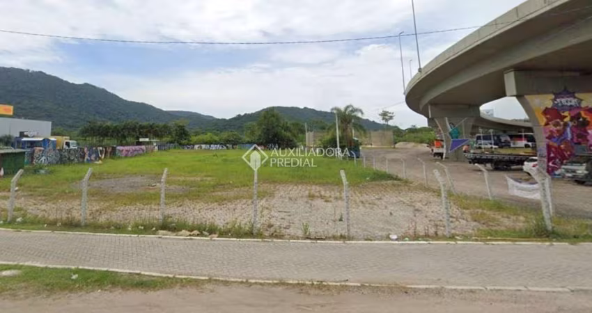 Terreno à venda na Rodovia Doutor Antônio Luiz Moura Gonzaga, 4734, Rio Tavares, Florianópolis