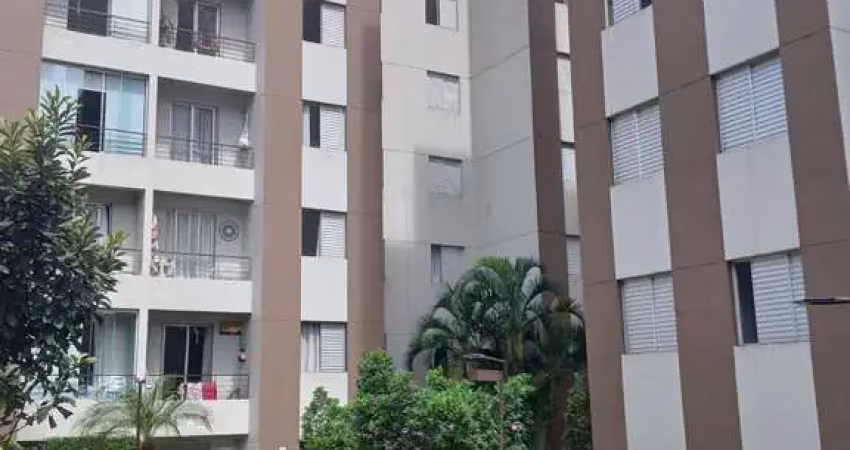 Funcional apartamento tipo para venda em vila amélia com 3 quartos, sendo 1 suíte, 62m²