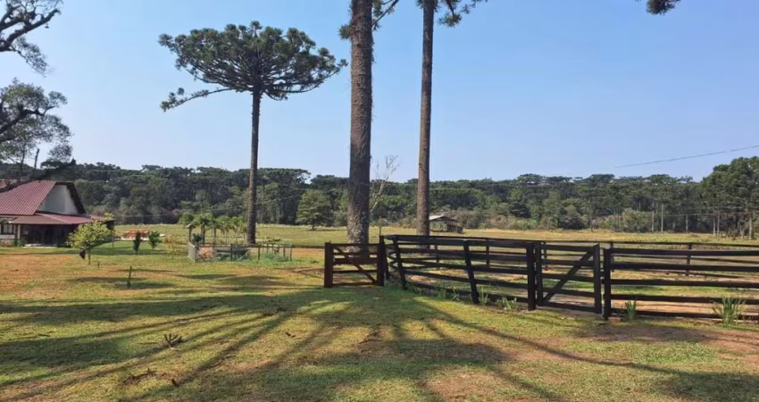 Área Rural para Venda em São João do Triunfo, Área Rural