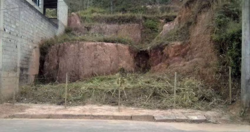 Terreno à venda, 312 m² por r$ 80.000,00 - grama - juiz de fora/mg