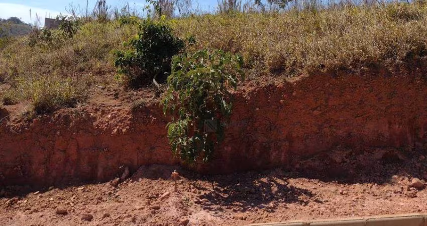 Terreno à venda, 354 m² por R$ 70.000 - Igrejinha - Juiz de Fora/MG