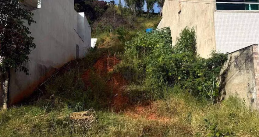 Terreno à venda, 312 m² por r$ 250.000 - lourdes - juiz de fora/mg