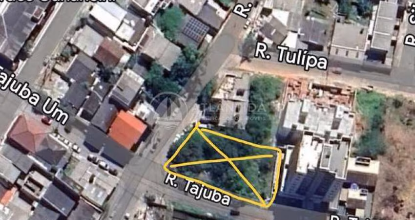 Terreno 980,41m² para permuta - Taboleiro - Camboriú