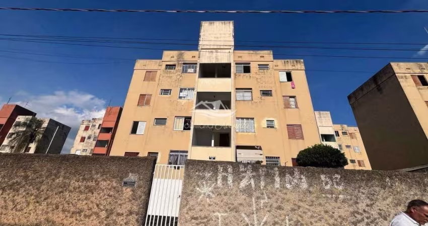 Apartamento para venda e locação, Conjunto Habitacional Parque Itajaí, Campinas, SP