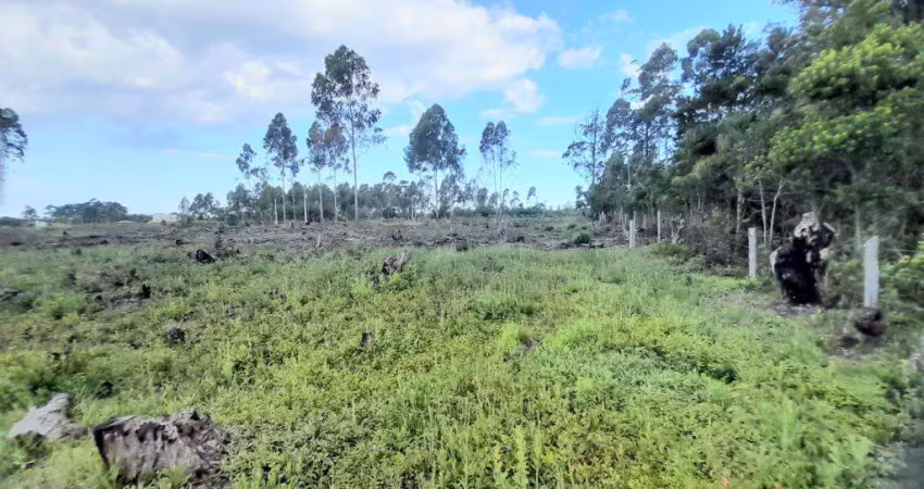 Área de terra à venda no bairro curralinhos com 3092 m² de área privativa