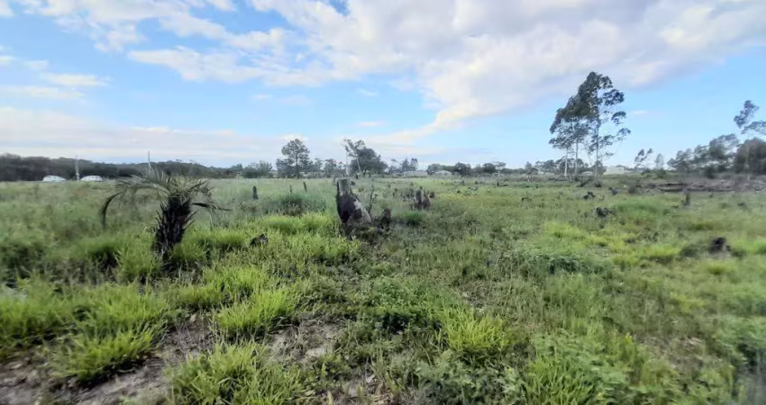 Área de terra à venda no bairro curralinhos com 3092 m² de área privativa