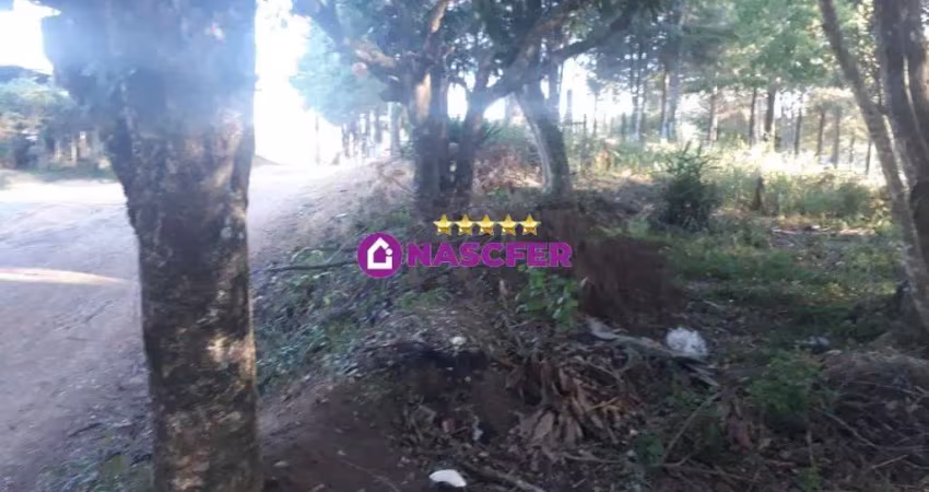 Terreno à venda na Bunjiro Nakao, Ressaca, Ibiúna