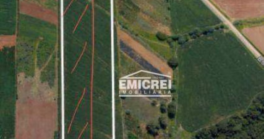 Área à venda, 6 hectares por R$ 798.000 - Lomba Grande - Novo Hamburgo/RS