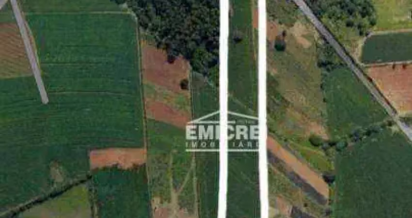 Área à venda, 400000000 m² por r$ 500.000 - lomba grande - novo hamburgo/rs