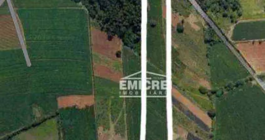Área à venda, 200000000 m² por r$ 250.000 - lomba grande - novo hamburgo/rs