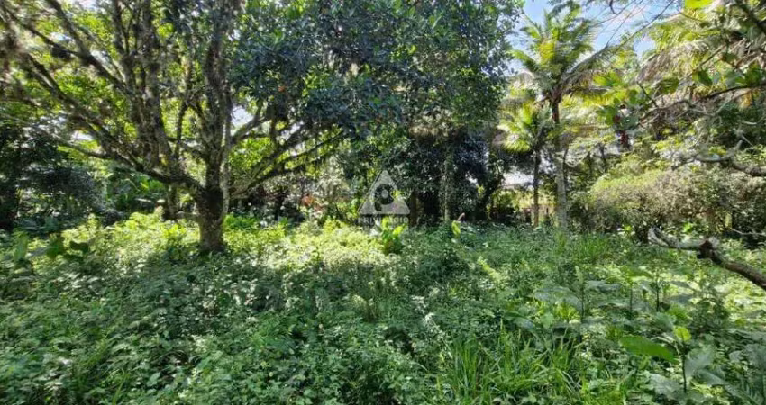 Oportunidade única: terreno plano de 1560 m² na estrada do pontal
