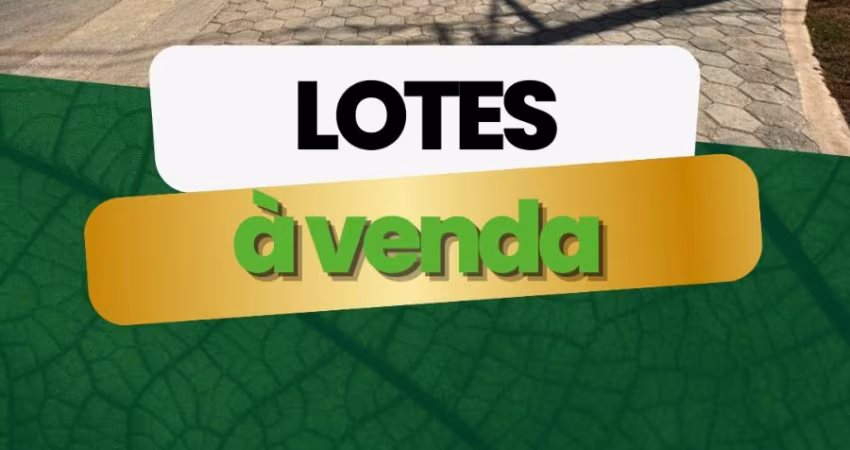 Terrenos de 1000mts . Prontos para construir