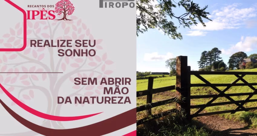 Já pensou em morar ou investir em um lugar cercado pela natureza, com conforto, segurança e liberdade?