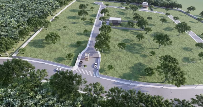 Trrenos de 1000mts , planos e documentados!!