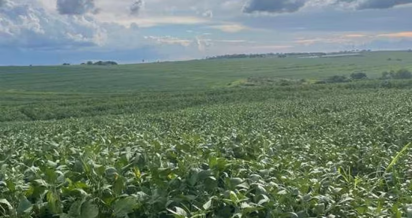 SÍTIO DE 7.72 ALQUEIRES - PLANTIO DE SOJA - CANA AÇUCAR- ETC