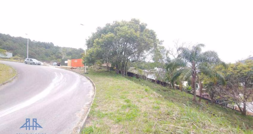 Terreno à venda, 785 m² por R$ 1.170.000,00 - Itacorubi - Florianópolis/SC