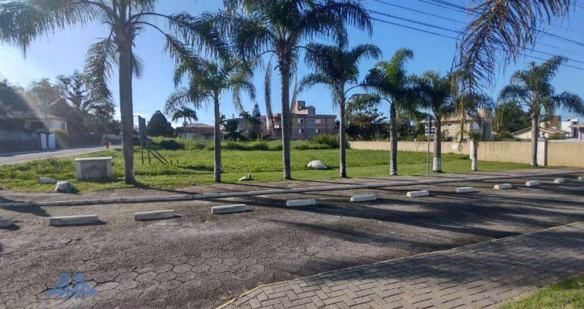 Terreno à venda, 600 m² por R$ 1.100.000,00 - Canasvieiras - Florianópolis/SC
