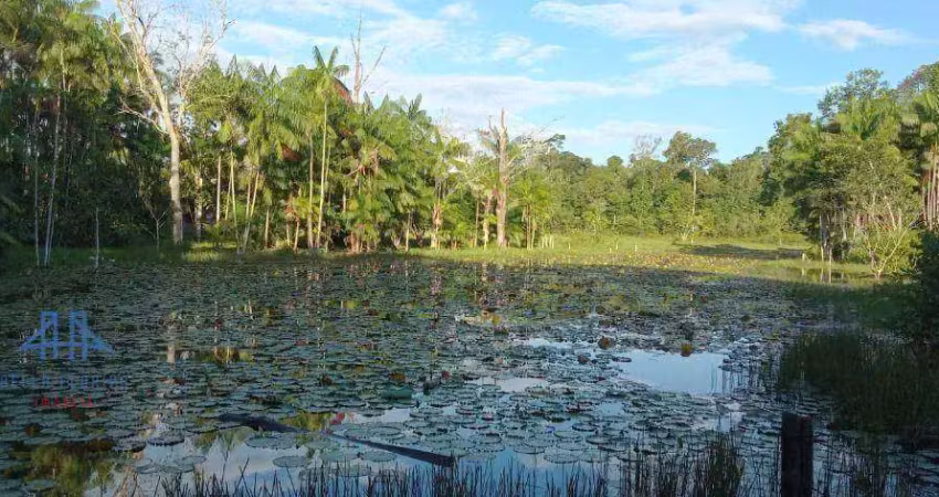 Fazenda à venda, 2190000 m² por r$ 4.000.000,00 - alça viaria - acará/pa
