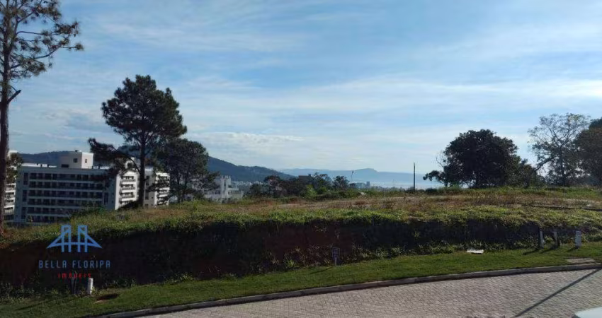 Terreno à venda, 505 m² por R$ 1.181.000,00 - Itacorubi - Florianópolis/SC