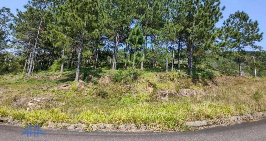 Terreno à venda, 747 m² por r$ 1.494.000,00 - itacorubi - florianópolis/sc