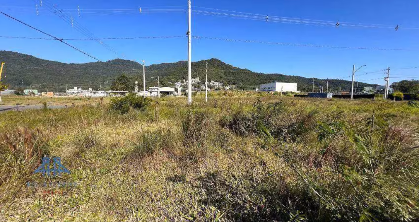 Terreno à venda, 459 m² por r$ 490.000,00 - vargem grande - florianópolis/sc