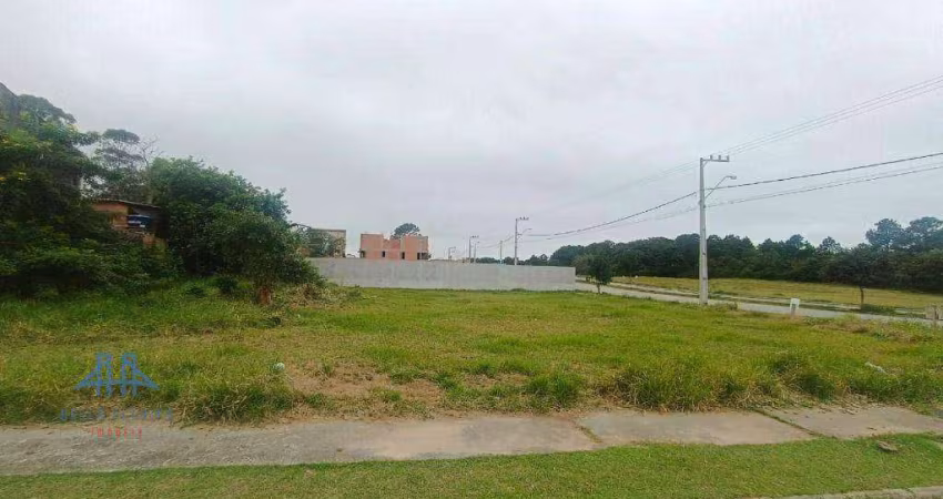 Terreno à venda, 493 m² por R$ 505.000,00 - São João do Rio Vermelho - Florianópolis/SC