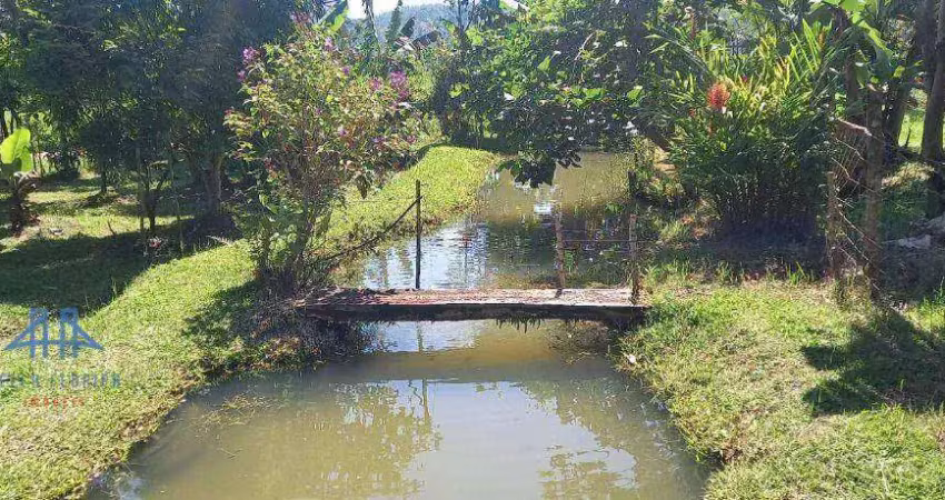Sítio à venda, 20000 m² por r$ 650.000,00 - área rural de biguaçu - biguaçu/sc