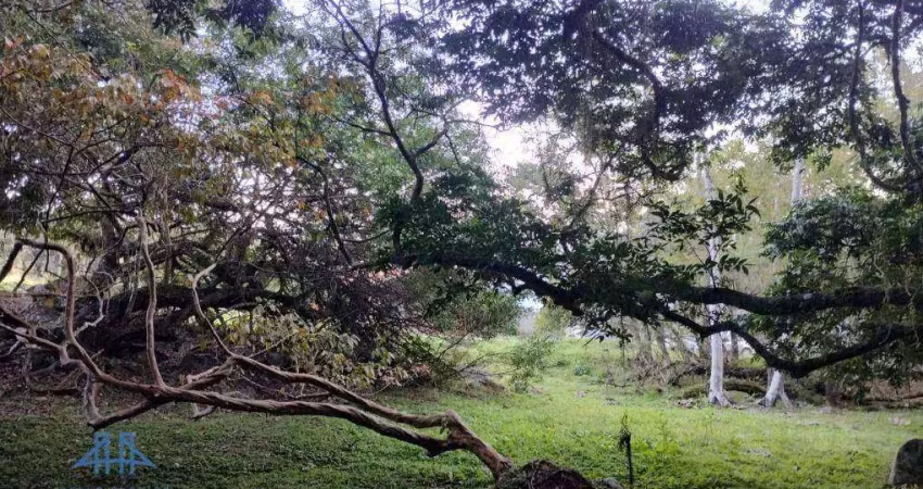 Terreno à venda, 460 m² por r$ 700.000 - córrego grande - florianópolis/sc