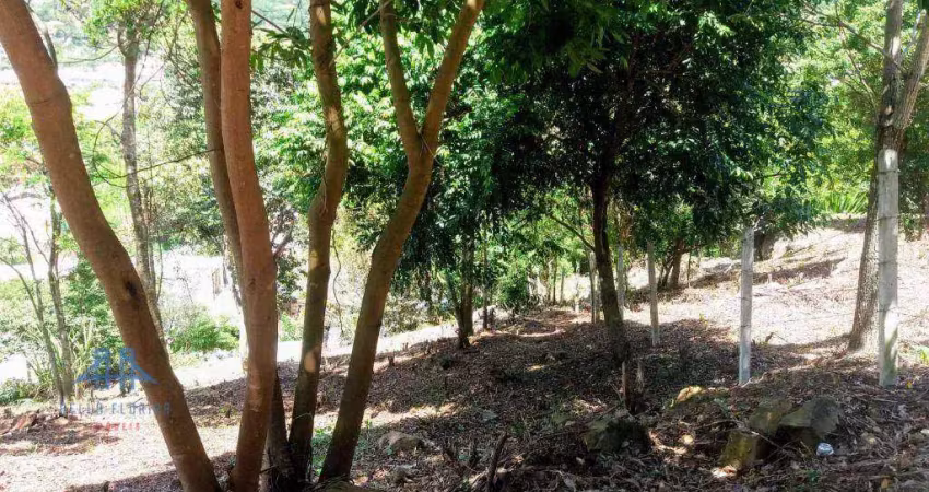 Terreno à venda, 1007 m² por r$ 999.000,00 - cachoeira do bom jesus - florianópolis/sc
