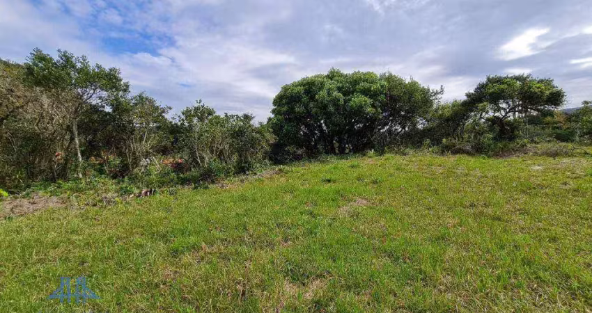 Terreno à venda, 4 m² por r$ 1.250.000,00 - macacú - garopaba/sc