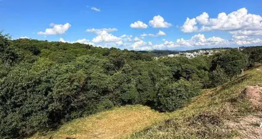 Terreno à venda na 
     Avenida Verona
, Vargem Grande, Jarinu