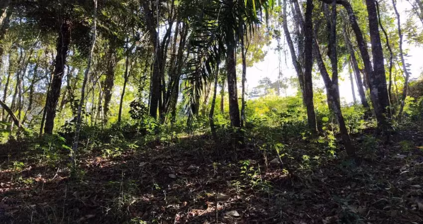 Terreno à venda, 1000 m² por r$ 240 mil  - jardim lago da cantareira /sp - mairiporã