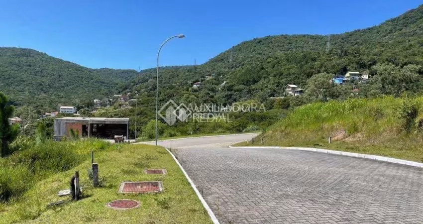 Terreno à venda na Rua Rodrigo Rampinelli Jeremias, 200, Itacorubi, Florianópolis