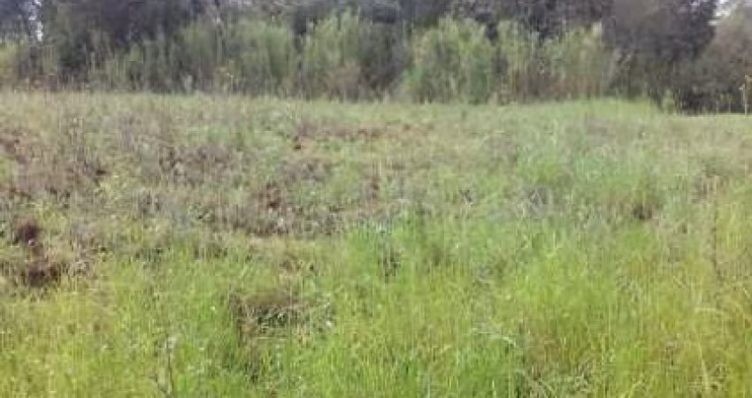 Terreno comercial à venda na Laudi João Fleck, 1, Floresta, Lajeado