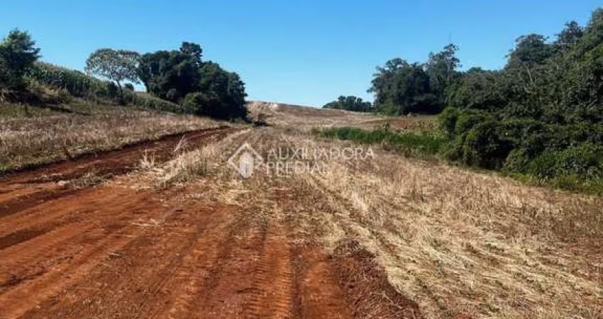 Terreno comercial à venda na Rua Arnoldo Alfredo Scherer, 61, Conventos, Lajeado