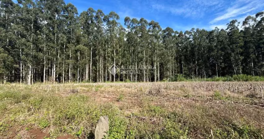 Terreno à venda na Getúlio Vargas, 871, 5656456, Centro, Marques de Souza