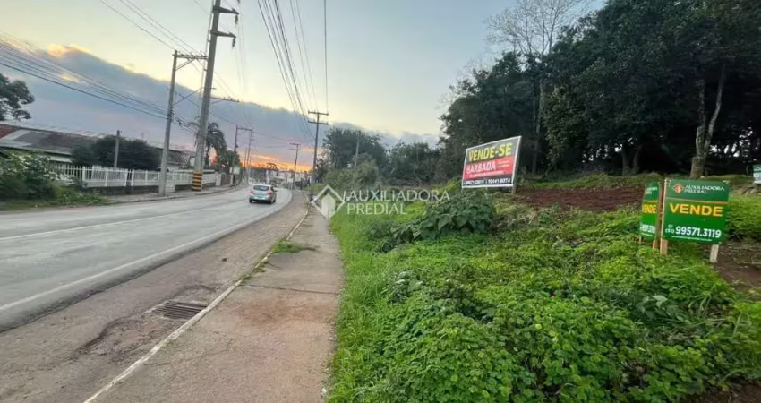 Terreno comercial à venda na Rua Carlos Sphor Filho, 5675645345, Moinhos, Lajeado