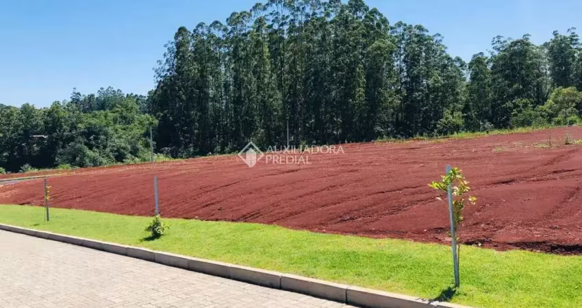 Terreno à venda na Rodovia ERS-413, 4, São Bento, Lajeado