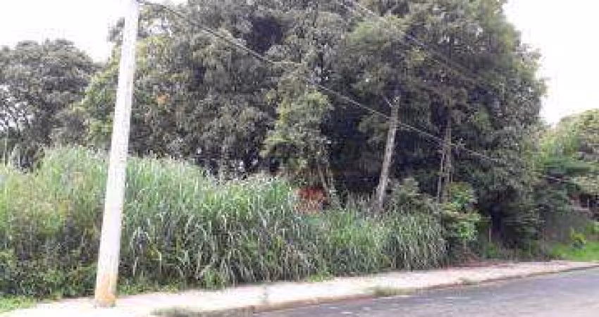 Terreno, 1000 m² - venda por R$ 650.000,00 ou aluguel por R$ 3.500,00/mês - Colinas de Indaiatuba II - Indaiatuba/SP